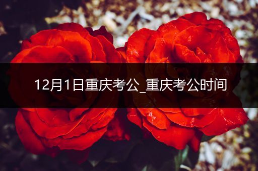 12月1日重庆考公_重庆考公时间