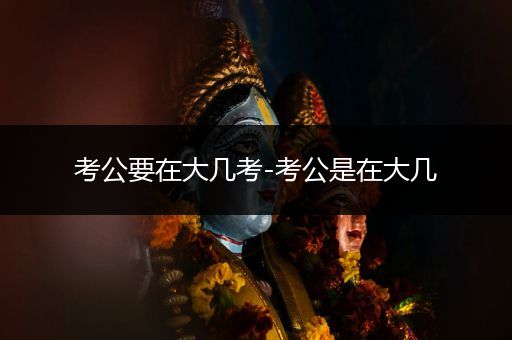 考公要在大几考-考公是在大几