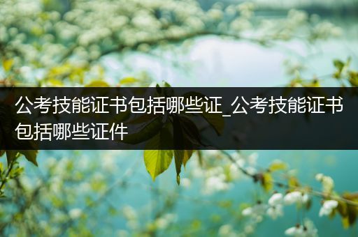 公考技能证书包括哪些证_公考技能证书包括哪些证件