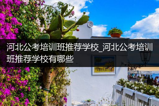 河北公考培训班推荐学校_河北公考培训班推荐学校有哪些