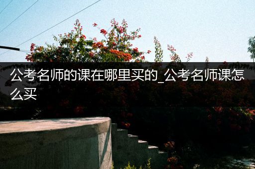 公考名师的课在哪里买的_公考名师课怎么买