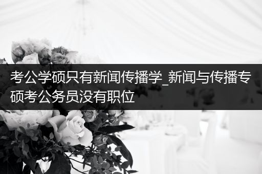 考公学硕只有新闻传播学_新闻与传播专硕考公务员没有职位