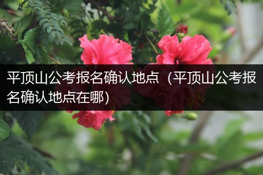 平顶山公考报名确认地点（平顶山公考报名确认地点在哪）