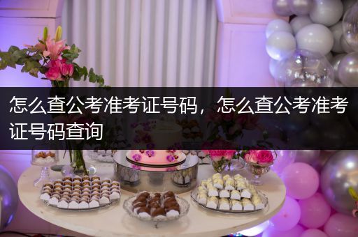 怎么查公考准考证号码，怎么查公考准考证号码查询