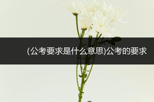 （公考要求是什么意思)公考的要求