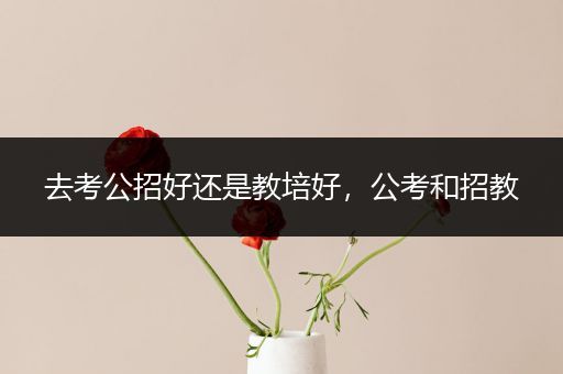 去考公招好还是教培好，公考和招教