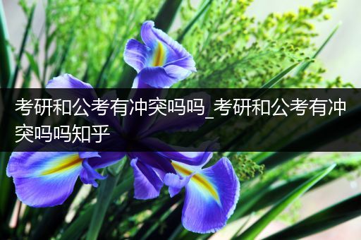 考研和公考有冲突吗吗_考研和公考有冲突吗吗知乎