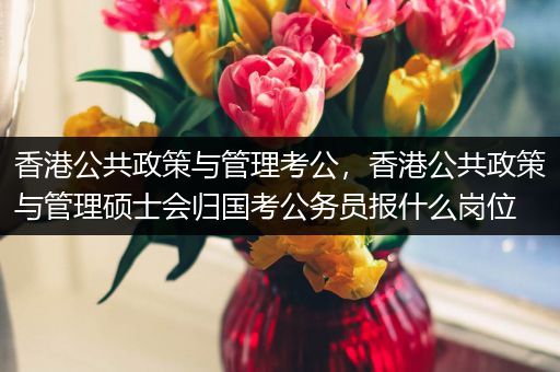 香港公共政策与管理考公，香港公共政策与管理硕士会归国考公务员报什么岗位