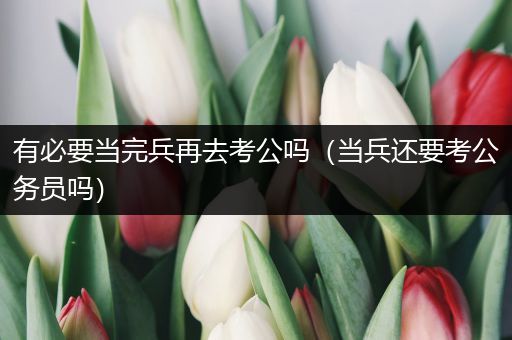有必要当完兵再去考公吗（当兵还要考公务员吗）