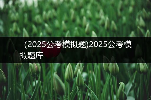 （2025公考模拟题)2025公考模拟题库