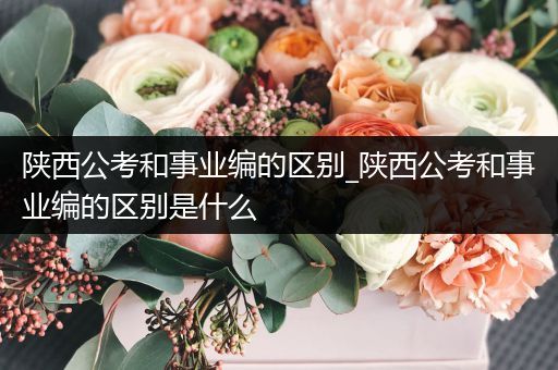 陕西公考和事业编的区别_陕西公考和事业编的区别是什么