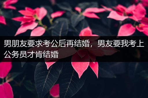 男朋友要求考公后再结婚，男友要我考上公务员才肯结婚