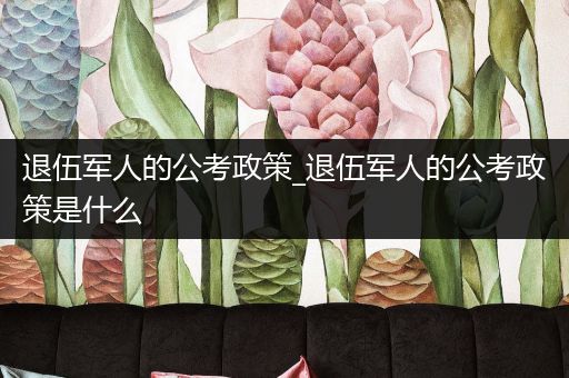 退伍军人的公考政策_退伍军人的公考政策是什么