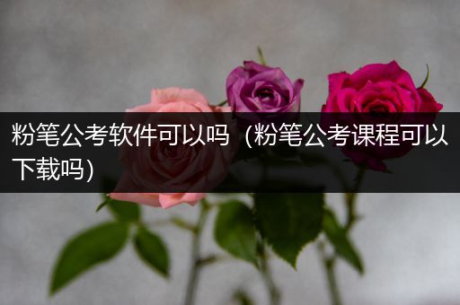 粉笔公考软件可以吗（粉笔公考课程可以下载吗）