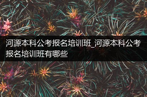 河源本科公考报名培训班_河源本科公考报名培训班有哪些