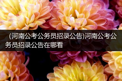（河南公考公务员招录公告)河南公考公务员招录公告在哪看