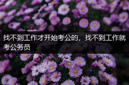 找不到工作才开始考公的，找不到工作就考公务员