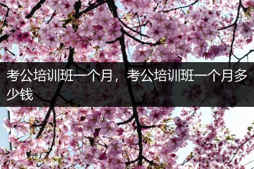 考公培训班一个月，考公培训班一个月多少钱