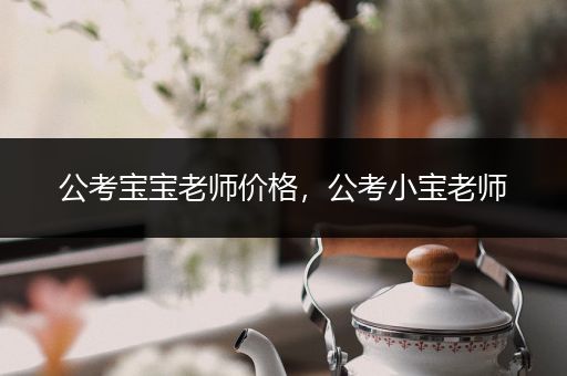 公考宝宝老师价格，公考小宝老师