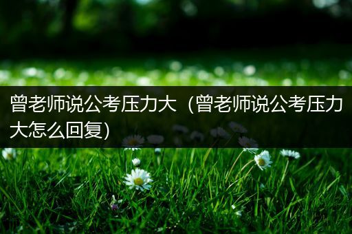 曾老师说公考压力大（曾老师说公考压力大怎么回复）