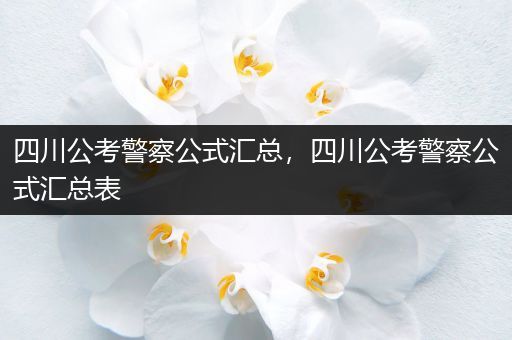 四川公考警察公式汇总，四川公考警察公式汇总表