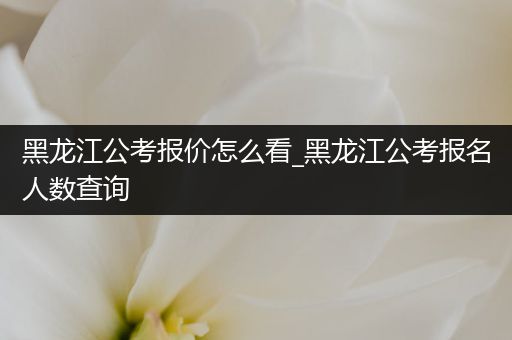 黑龙江公考报价怎么看_黑龙江公考报名人数查询