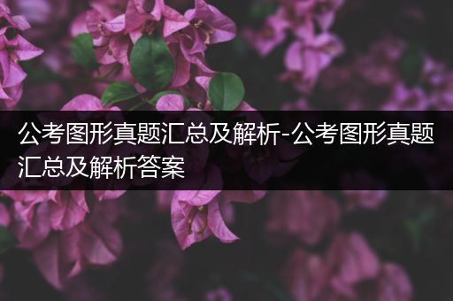 公考图形真题汇总及解析-公考图形真题汇总及解析答案