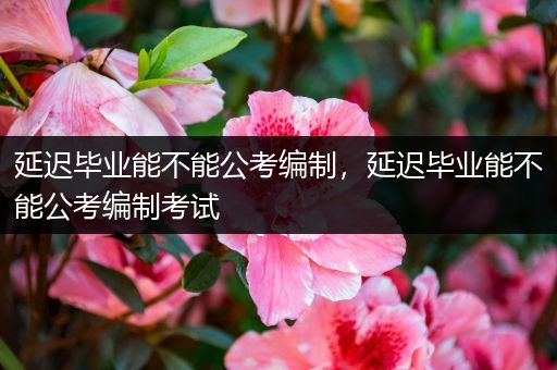 延迟毕业能不能公考编制，延迟毕业能不能公考编制考试