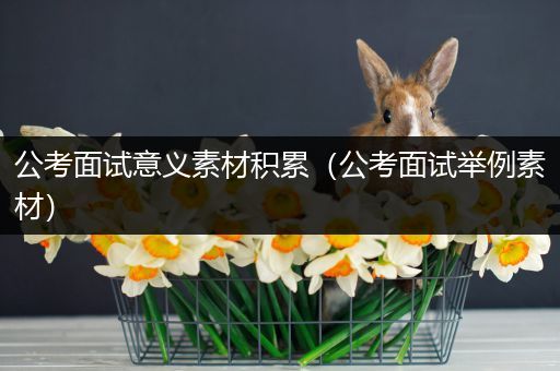 公考面试意义素材积累（公考面试举例素材）