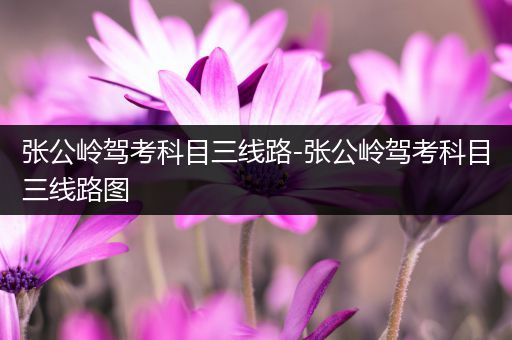 张公岭驾考科目三线路-张公岭驾考科目三线路图