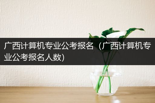 广西计算机专业公考报名（广西计算机专业公考报名人数）