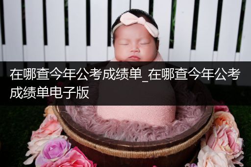 在哪查今年公考成绩单_在哪查今年公考成绩单电子版
