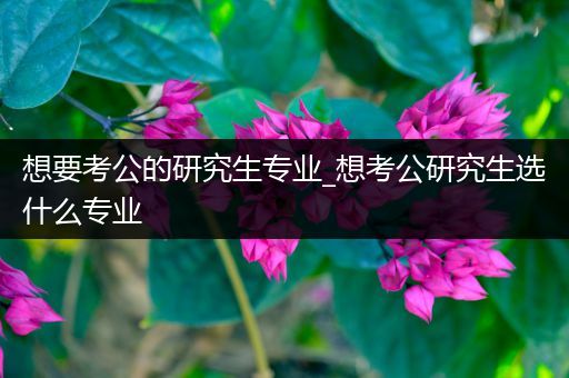 想要考公的研究生专业_想考公研究生选什么专业