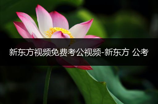 新东方视频免费考公视频-新东方 公考