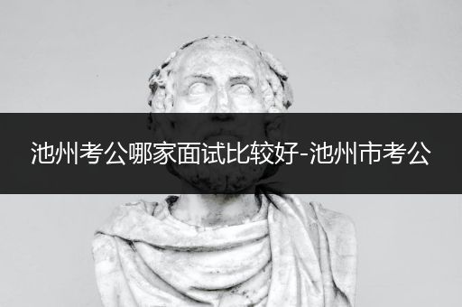 池州考公哪家面试比较好-池州市考公