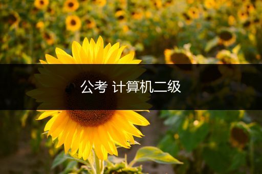 公考 计算机二级