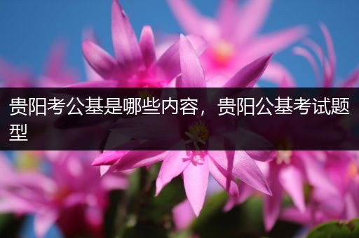 贵阳考公基是哪些内容，贵阳公基考试题型