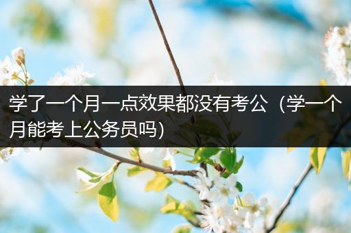 学了一个月一点效果都没有考公（学一个月能考上公务员吗）