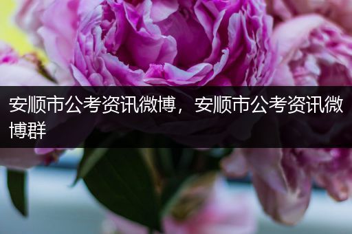 安顺市公考资讯微博，安顺市公考资讯微博群