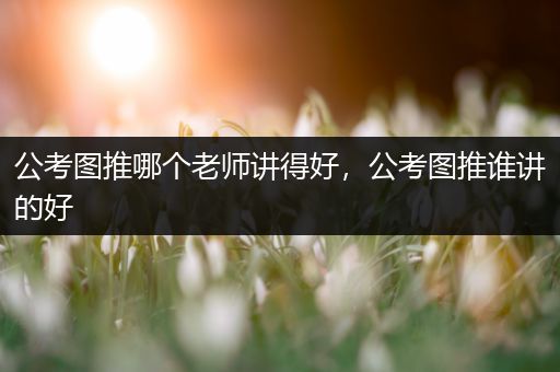 公考图推哪个老师讲得好，公考图推谁讲的好