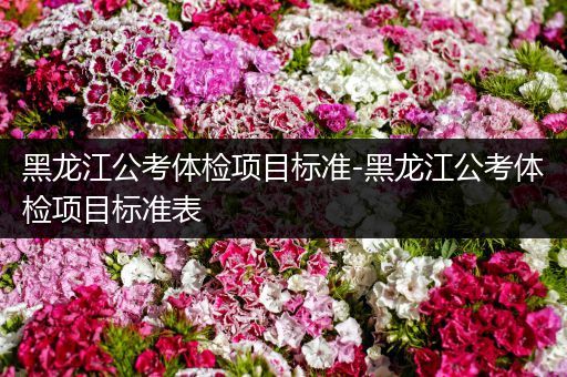 黑龙江公考体检项目标准-黑龙江公考体检项目标准表
