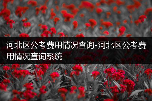 河北区公考费用情况查询-河北区公考费用情况查询系统