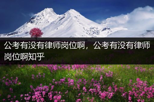 公考有没有律师岗位啊，公考有没有律师岗位啊知乎