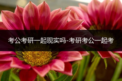 考公考研一起现实吗-考研考公一起考