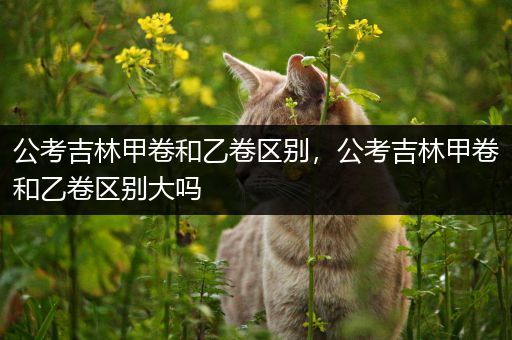 公考吉林甲卷和乙卷区别，公考吉林甲卷和乙卷区别大吗