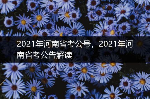 2021年河南省考公号，2021年河南省考公告解读