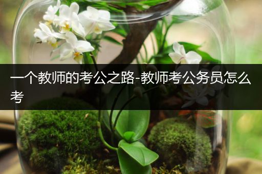 一个教师的考公之路-教师考公务员怎么考