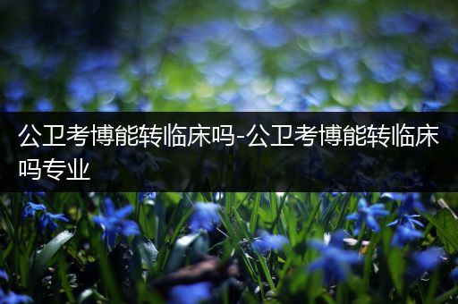 公卫考博能转临床吗-公卫考博能转临床吗专业