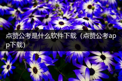 点赞公考是什么软件下载（点赞公考app下载）