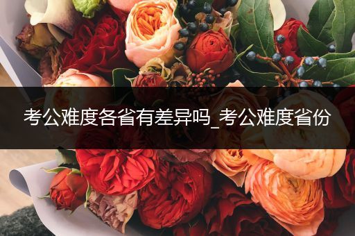 考公难度各省有差异吗_考公难度省份